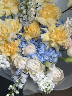 Почтовая открытка из Венеции — изображение 4