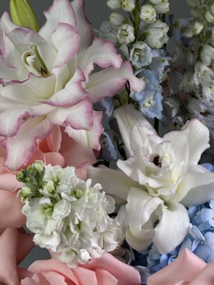 Мелодия, услышанная сквозь сон — изображение 4