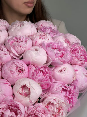 Моно букет из пионов "Сара Бернар" — изображение 2