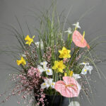 Поле ЗÉЛЕНО #1