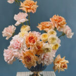 Пикник на крыше