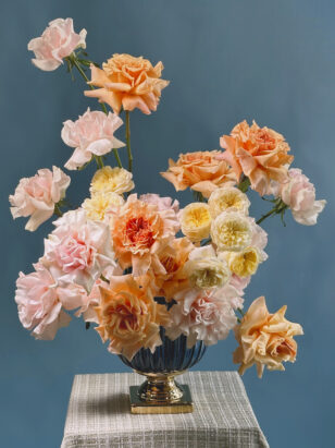 Пикник на крыше