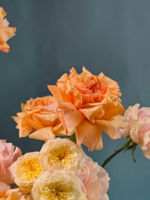 Пикник на крыше — изображение 3