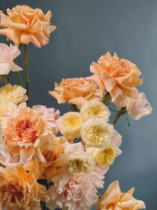 Пикник на крыше — изображение 4