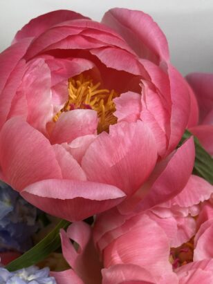 букет невесты #4 — изображение 3