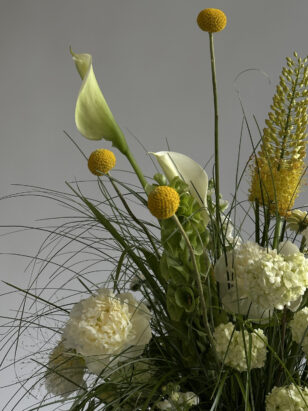 Поле ЗÉЛЕНО #2 — изображение 4