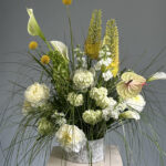 Поле ЗÉЛЕНО #2