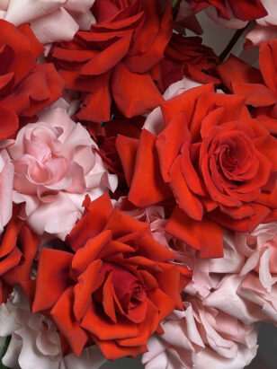 Букет из французских роз "Би Свит" и "Нина" — изображение 2