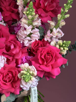 Тихий Прованс — изображение 3