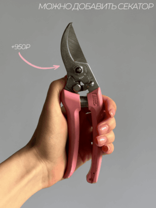 Окно напротив — изображение 7