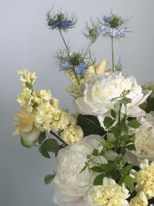 Тайны заброшенного сада — изображение 4