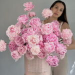 Коробка с пионами "Сара Бернар"