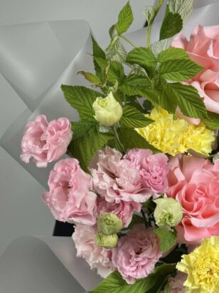 Кайпиринья — изображение 2