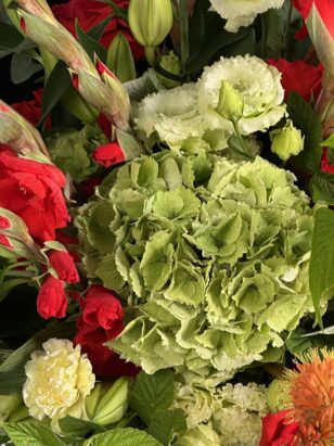 Космополитен — изображение 4