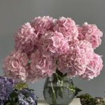 Моно букет из гортензии