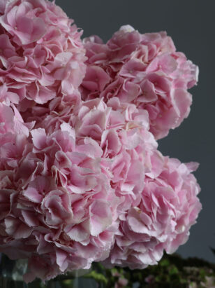 Моно букет из гортензии — изображение 2