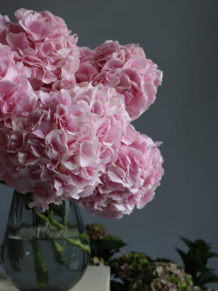 Моно букет из гортензии — изображение 3