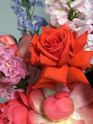 Везувий — изображение 3