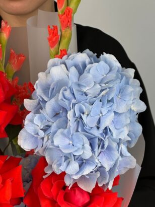 Глобус вдохновения — изображение 2