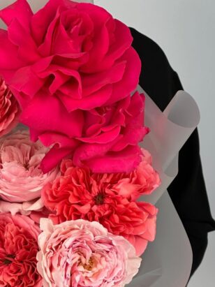 Свет знаний — изображение 2