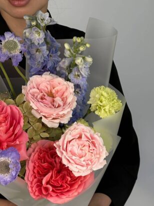 Мелодия знаний — изображение 2