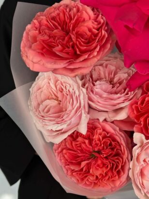 Свет знаний — изображение 3