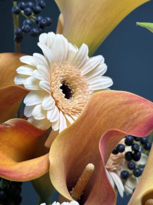 Дуо калла и гербера — изображение 3