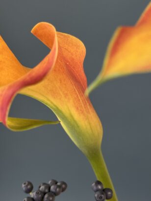 Дуо калла и гербера — изображение 4