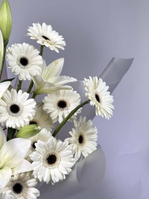 Дуо гермини и лилия — изображение 3