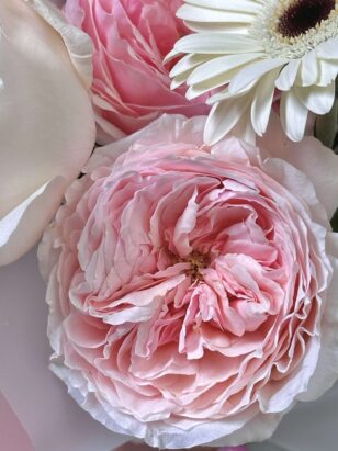 Дуо пионовидная роза и гермини — изображение 3