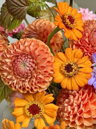 Леди шик — изображение 3