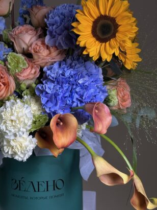 Фредерико — изображение 3