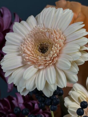 Тосканское утро — изображение 3