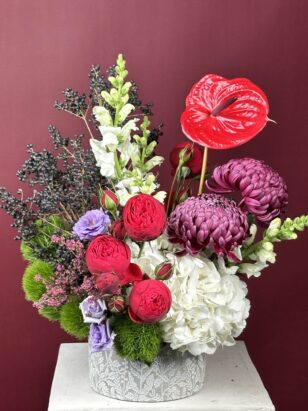 Винсент — изображение 2