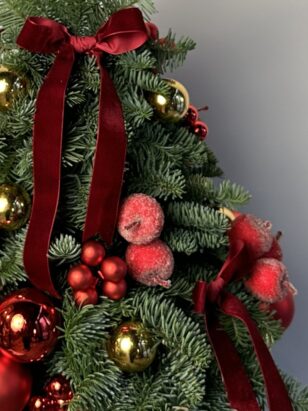 Ёлка "щелкунчик" — изображение 3