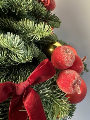 Ёлка "щелкунчик" — изображение 2