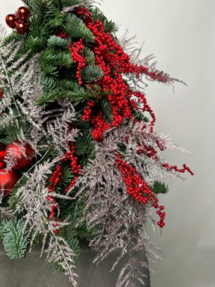 Морозный румянец — изображение 2