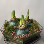 Кашпо с луковицами 2