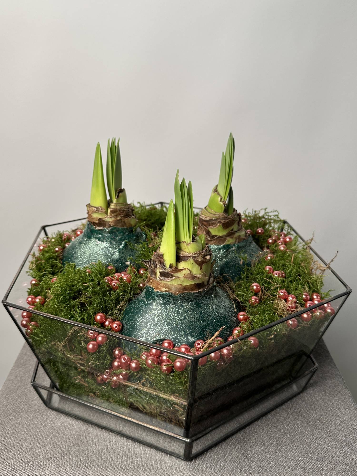 IMG_9584 Кашпо с луковицами 2 — изображение 1