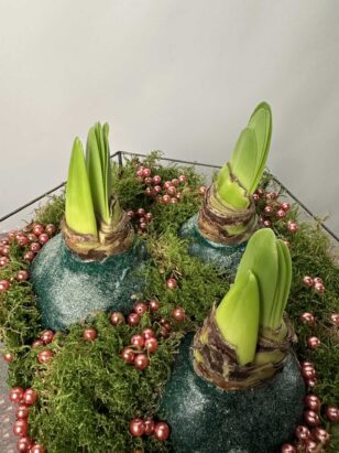 Кашпо с луковицами 2 — изображение 2