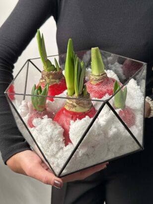 Кашпо с луковицами — изображение 2