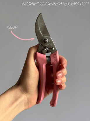 Тот самый поцелуй — изображение 6