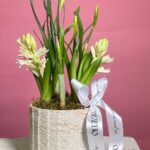 Кашпо нарциссы и гиацинты