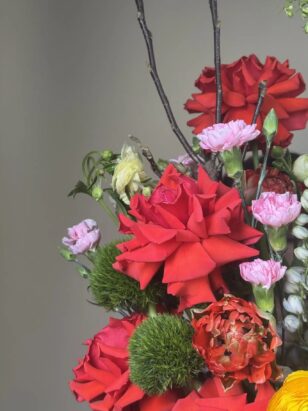 Тропея — изображение 2