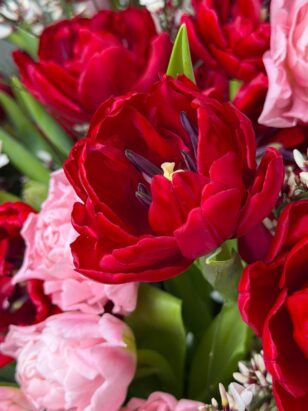 Микс тюльпанов — изображение 3