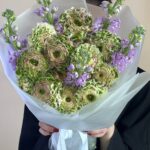 Мелодия весны