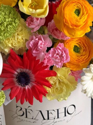 Поцелуй Солнца — изображение 3