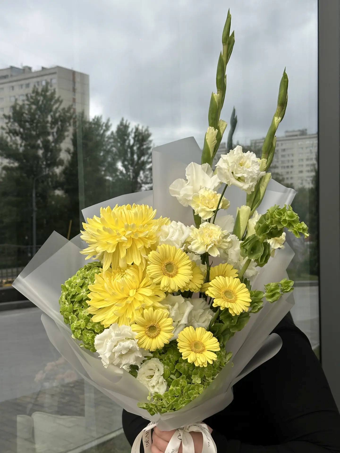 i (45) Лаймовое солнце — изображение 1